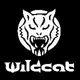 Wildcat Store Serious Piercing Tattoo